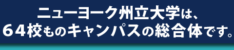ニューヨーク州立大学は64校ものキャンパスの総合体です。