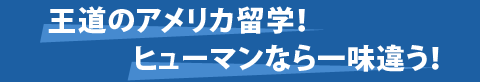 ヒューマンなら一味違う